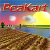 3D Karting oyunu