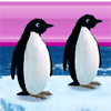 Penguen F�rlatma oyunu